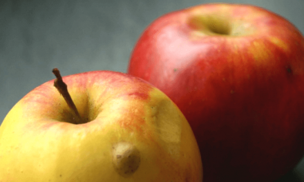 Äpfel und ihre Ökobilanz