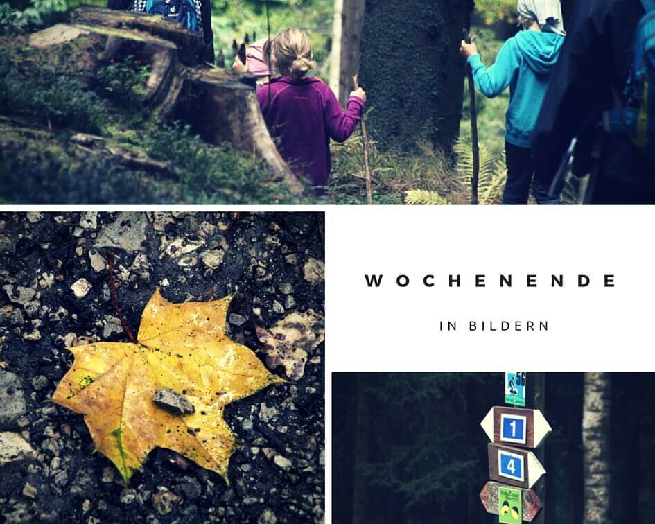 Wandern mit Kindern im Bayerischen Wald