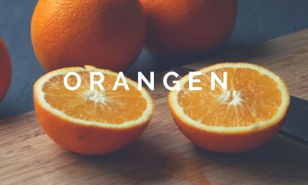 Orangen oder Apfelsinen?- Hauptsache lecker!