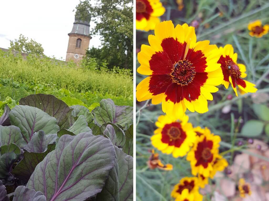 Burggarten der cadolzburg