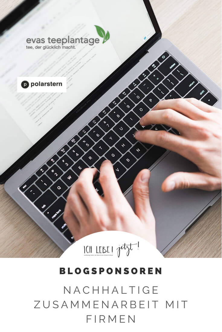 Blogsponsor