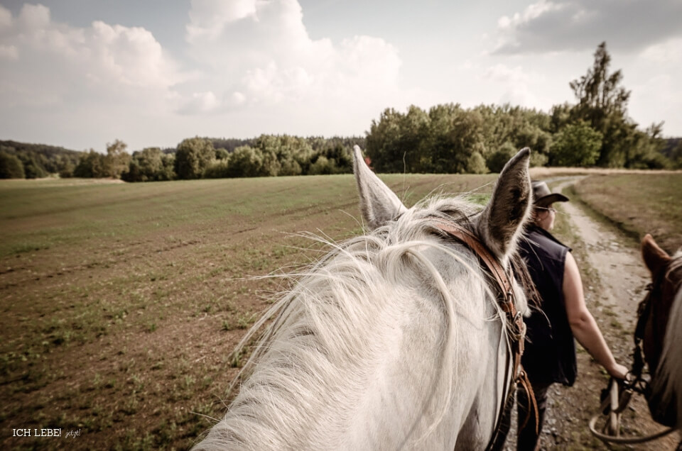 Ausblick zu Pferd.