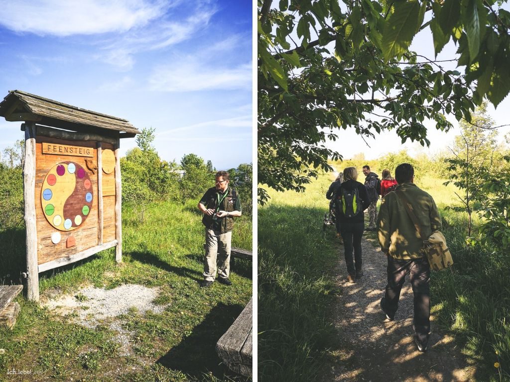 Los geht es zum Waldbaden