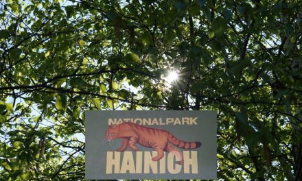Pressereise: Nationalpark Hainich
