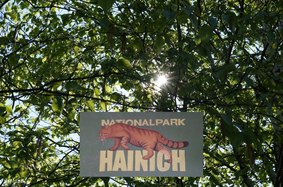 Pressereise: Nationalpark Hainich