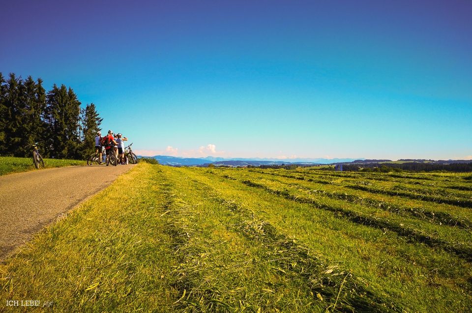 Radfahrer mitten in der Allgäuer Landschaft