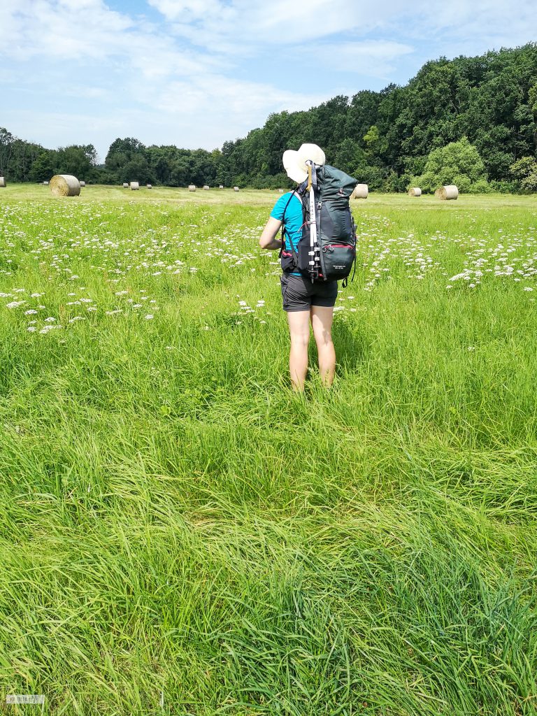 Auf dem Weg zu Fuß von Berlin nach Wien in einem Feld