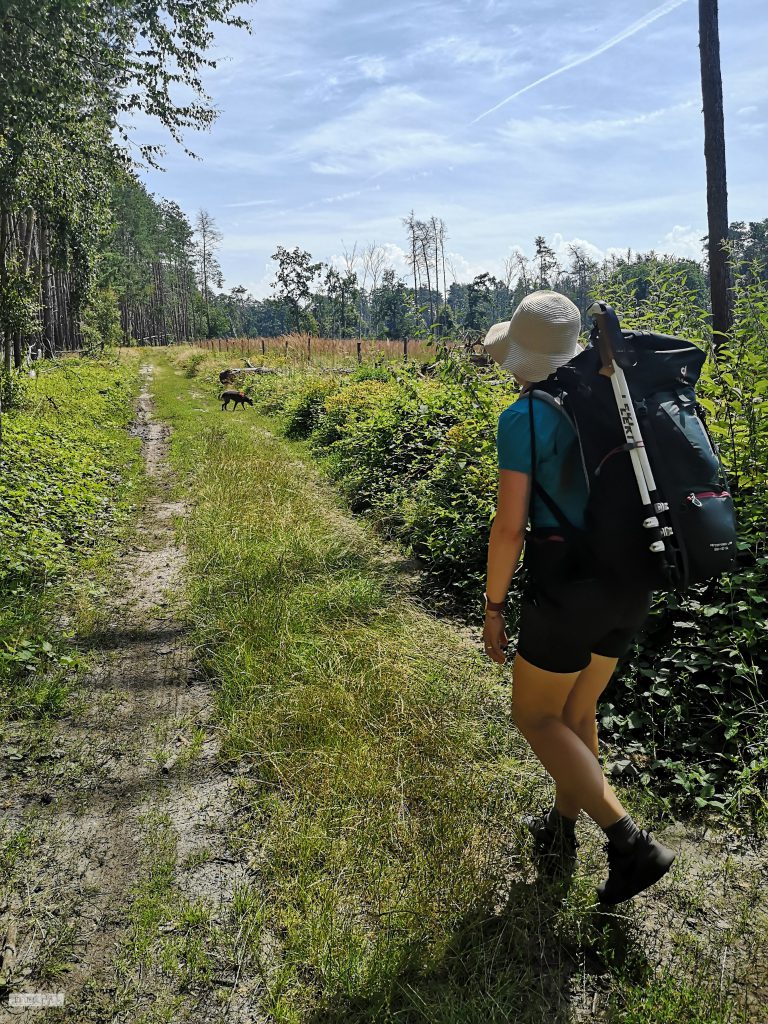 Sophie Lüttich auf dem Weg